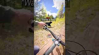 Biker Nearly Hits BEAR! 😳
