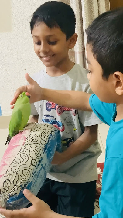Yakin with Parrot #birds #birdsofinstagram #bird #birdsong #birdslover #pakhi #pakhipalon #pakhe