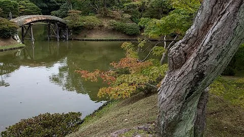 Cosa rappresenta il giardino zen?