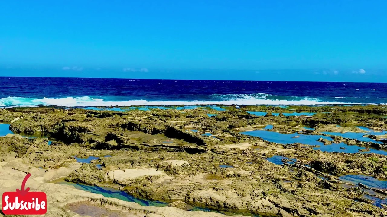 No Copyright For You - COMEBACK TO ME by Acki Irvine 🎶 