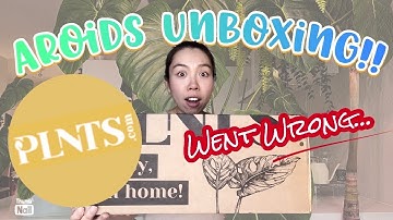 📦PLNTS.com | Unboxing series | Honest Review | Communication | Shipping | Package | Quality | Size