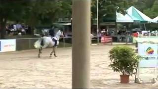 Holsteiner Mare, 2004 By Cassini I X Acorado X Landlord