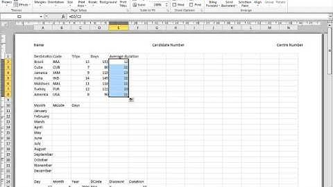 IGCSE ICT Winter 2010 Exam Spreadsheets