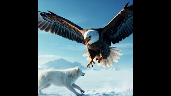 Eagle vs Arctic Fox – Epic AI Battle in the Snow! 🦅❄️🦊 #shorts
