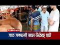 নারায়ণগঞ্জে সাত সকালেই জমে উঠেছে পশুর হাট, বৃষ্টিতে ভোগান্তি | Narayanganj cow hut | Jamuna TV