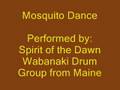 Mosquito dance  wabanaki drum song