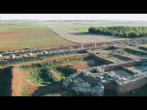 Yacimiento arqueológico de