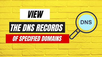 View the DNS records of specified domains