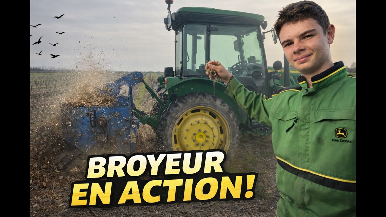 Le broyeur en action dans la vigne ! Pourquoi on broie les sarments ?