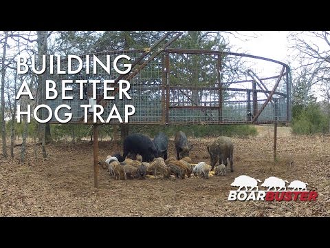 Introducing BoarBuster: A Better Hog Trapping System | Feral Hog Trap