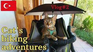 Nala Cats World Adventures Vlog2