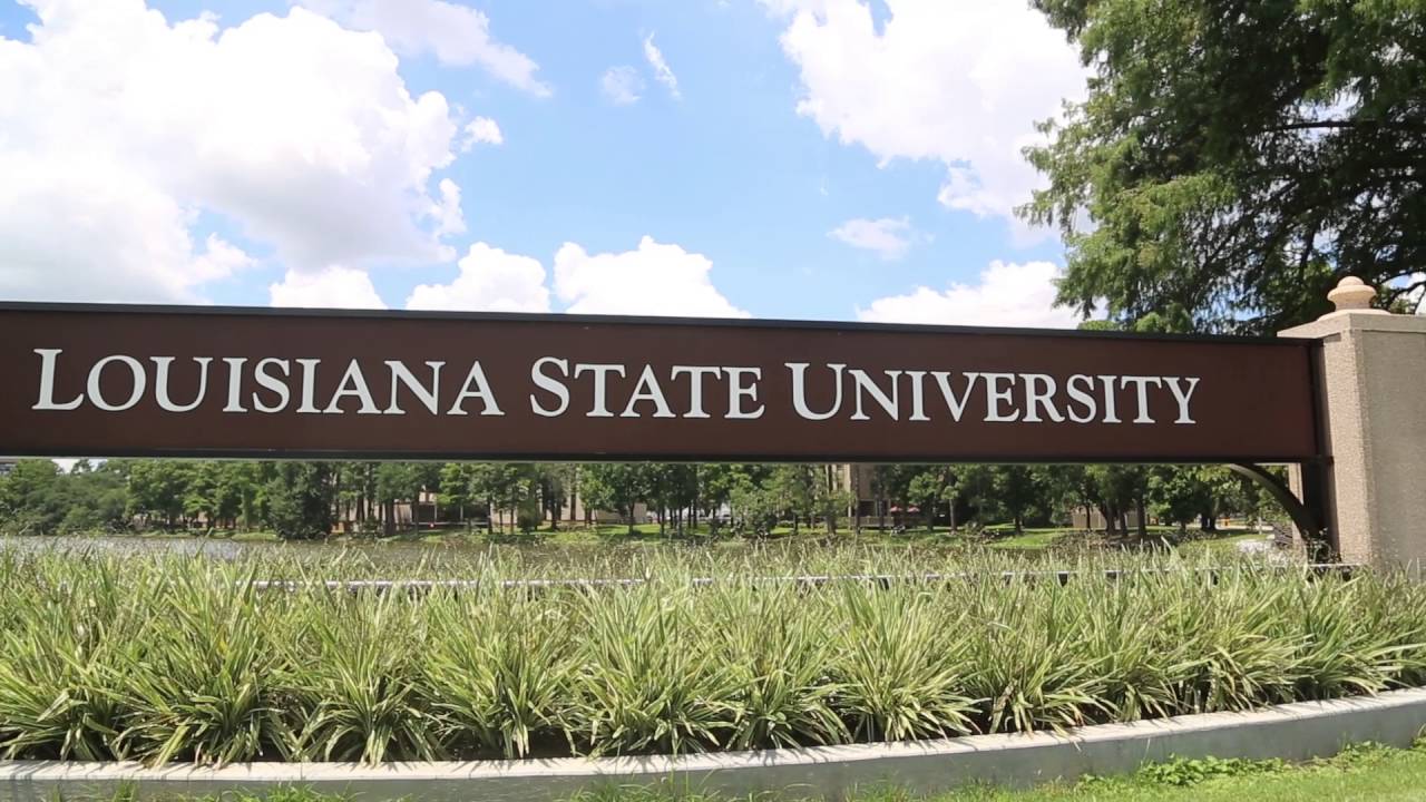 Graduate School of Banking at LSU Faculty Testimonials YouTube