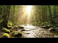 Sun-Drenched River: A Cinematic Dream
