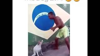 Dominican Got Talent- Funny Video 2016