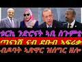 ቱርኪ ንድሮናት ኣቢ ተሪር ስጉምቲ ጣናነሽ ናብ ደቡብ ኣፍሪቃ ብዶባት ዝሰጋገር ዘሎ ኣጽዋራት ብቀጥታ ስዓት 8 ኣቆጻጽራ በርሊን