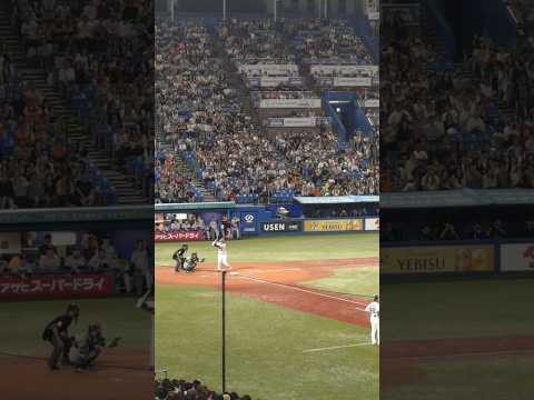２０２４年９月２９日 ９回裏 松本直樹🆚平内龍太＠神宮球場　#東京ヤクルトスワローズ 　#読売ジャイアンツ 　#セリーグ公式戦 　#チャンネル登録高評価よろしくお願いします 　#燕征 　東京ダービー　