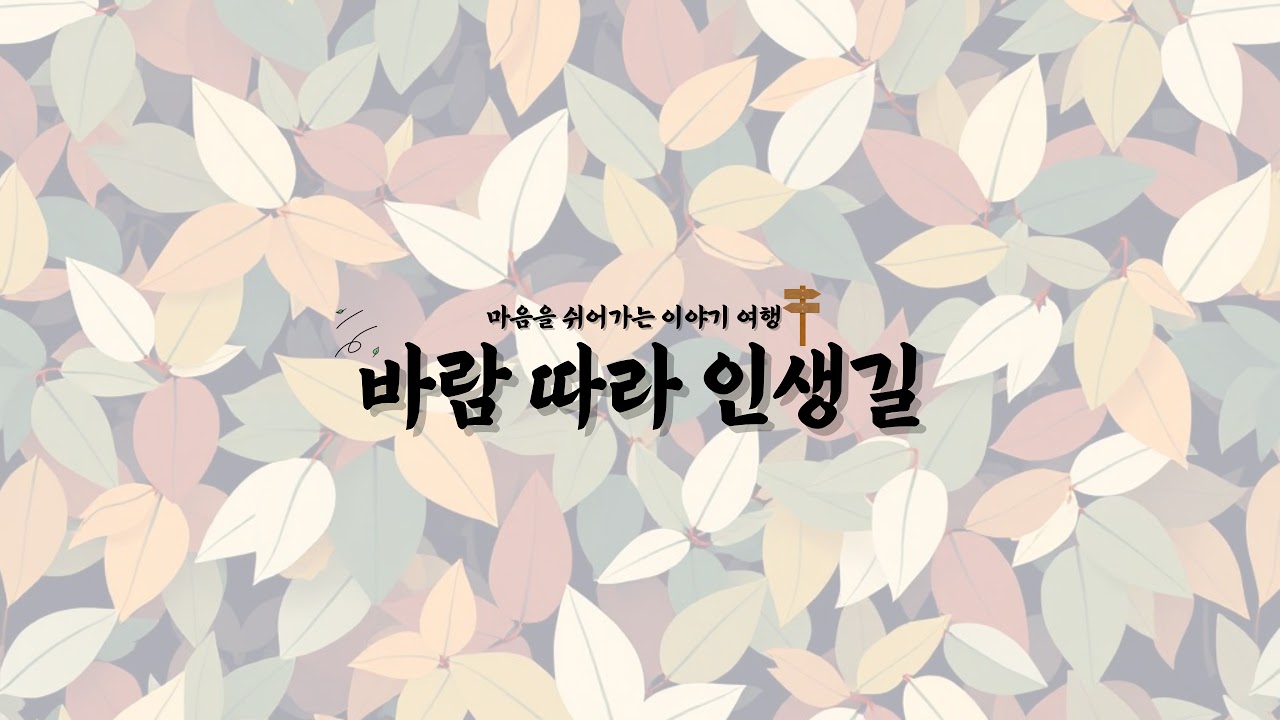 바람 따라 인생길님의 실시간 스트림 thumbnail