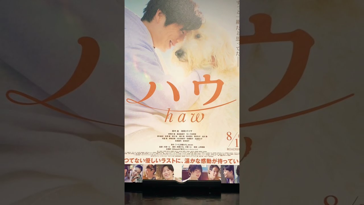 池田:ご要望の映画チラシ113枚セット Amazon.co.jp: 【映画チラシ】大阪物語 市川準 池脇千鶴 沢田