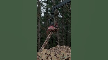 Up close with the Madill 4000 in the Titoki Forest, Dannevirke.