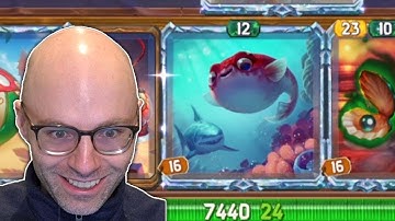 Meet the new Dooley (The Bazaar)