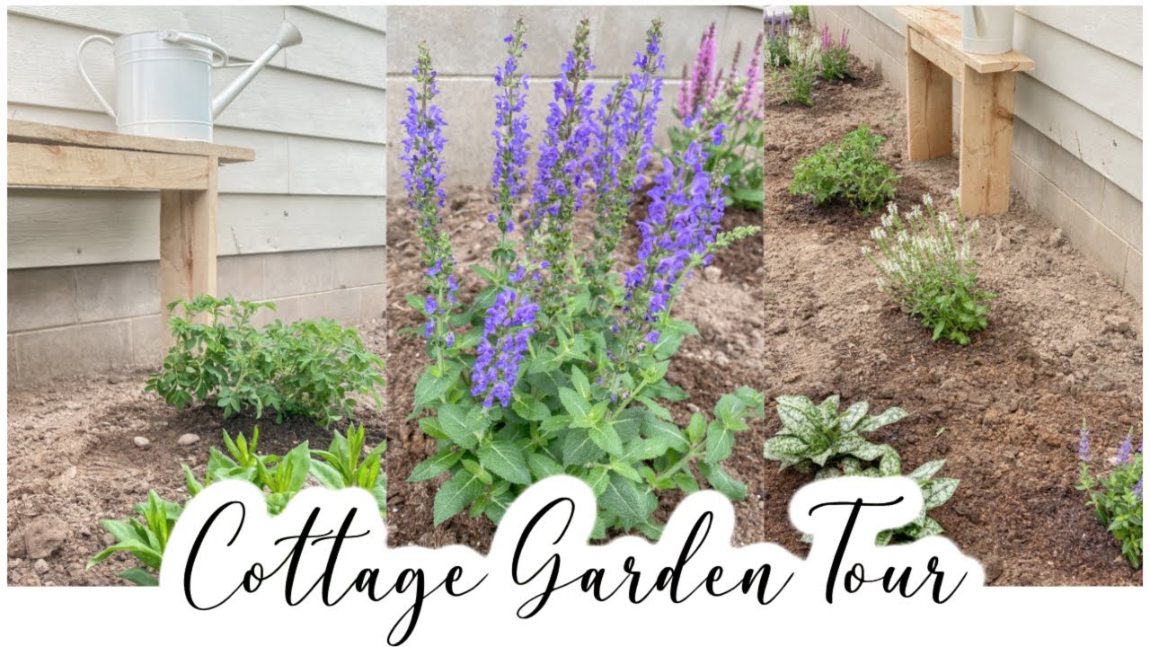 Cottage Gardens On A Budget