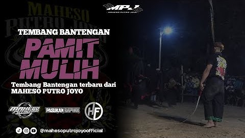 DJ BANTENGAN‼( PAMIT MULIH )‼"MAHESO PUTRO JOYO" RemixerBy, DJ HF REVOLUTION
