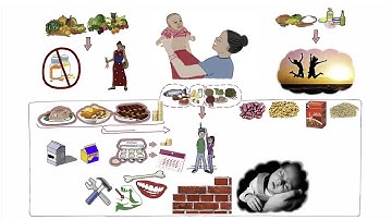 Protein "building foods" English version