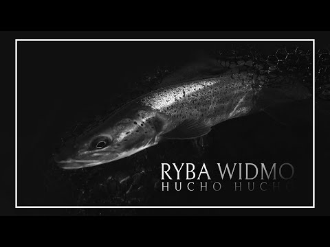 WILD FISH STORIES presents | RYBA WIDMO HUCHO HUCHO