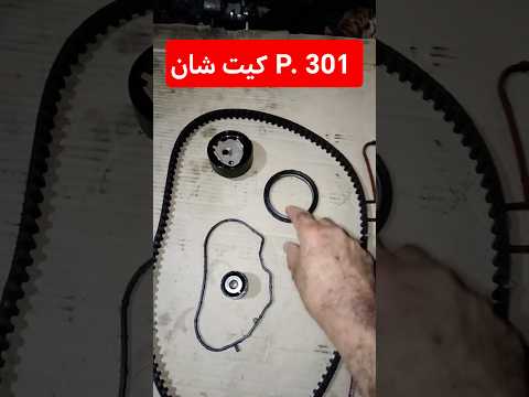 كاتينه بيجو ستروان Cylindre3 