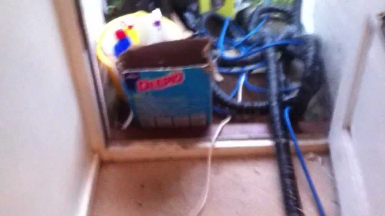 Walton on Thames carpet and upholstery cleaning YouTube