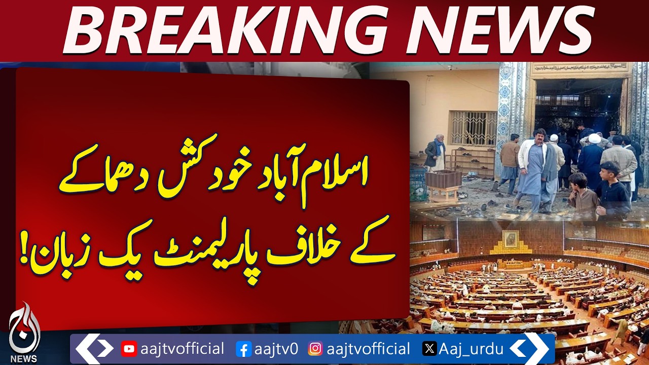 Senate Resolution | Islamabad Incident Condemned | National Unity | Pakistan News - Aaj Pakistan