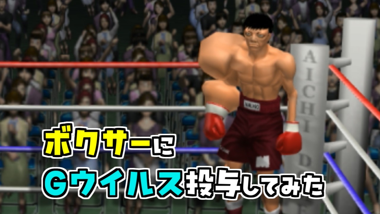 ピパポ　ボクシング Sparring 🔥🔥🔥