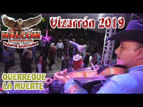 Halcón Huasteco -