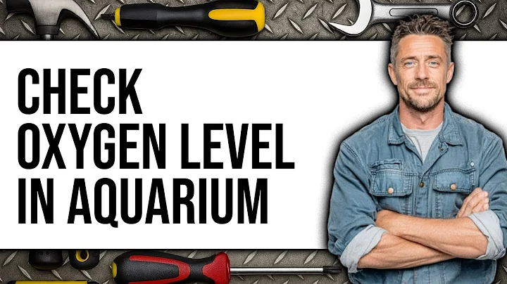How to Check Oxygen Level in Aquarium (Updated 2025)