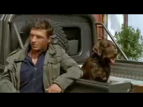 Forsthaus Falkenau Staffel 21