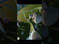 Vekoma Mythology by Oisin Planet Coaster 2