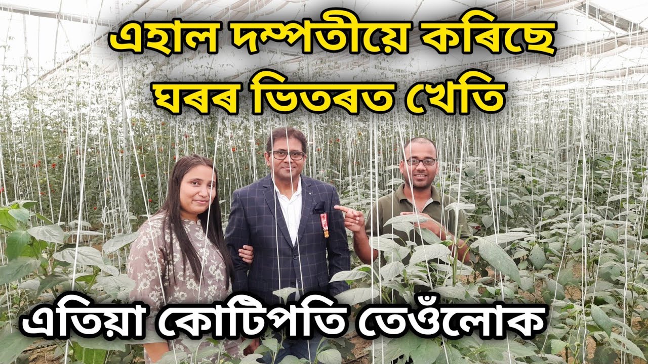 MBAৰ চাকৰি এৰি খেতি কৰি কোটিপতি হোৱা মানুহজন ।  Uparjan assam | Business ideas