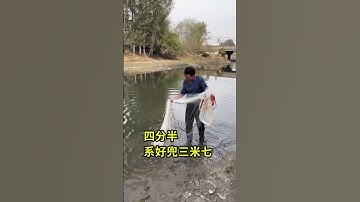 Best Cast Net Fishing Giant Snake Fish Catching & River Monsters 7
