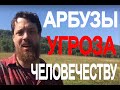 Арбузы - угроза человечеству'