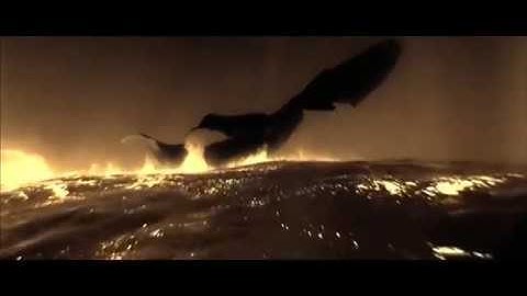 Cicada 3301 Video #2 | 2019 (cicada_317.mp4)