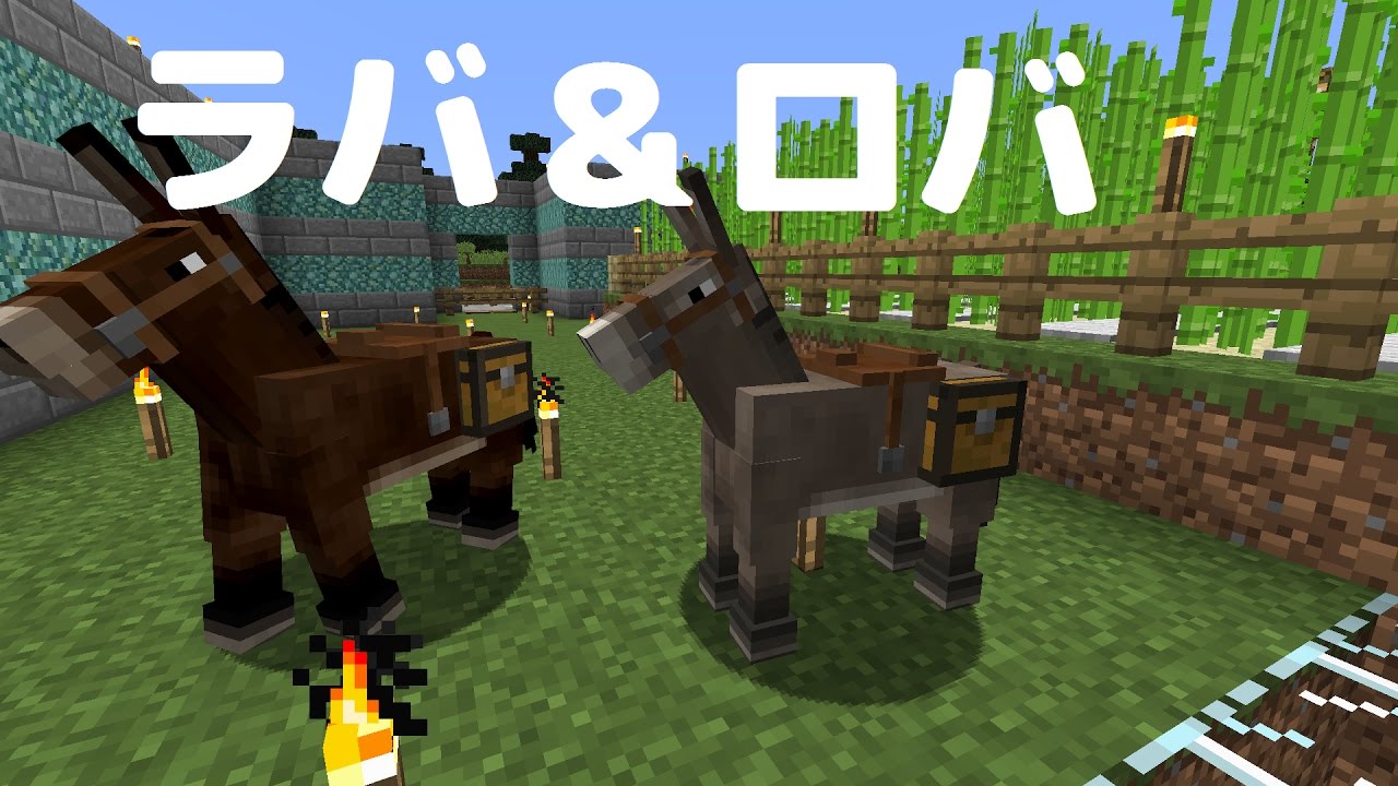 マイクラ実況 ロバと馬で珍獣 ラバ誕生 そして悲しい出来事も ﾟ ﾉd ﾟ Youtube