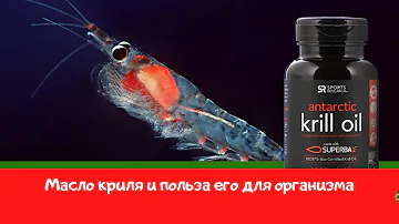 Полезные свойства масла криля