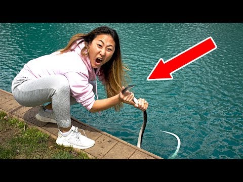 SNAKE IN POND!! (CAUGHT IT)