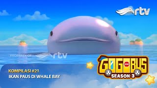 Gogobus Indonesia RTV : Kompilasi #21 - Ikan Paus di Whale Bay  | Season 3