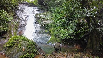 CÂU CÁ SUỐI HOANG DÃ | SỐNG GIỮA ĐẠI NGÀN | Tập 11