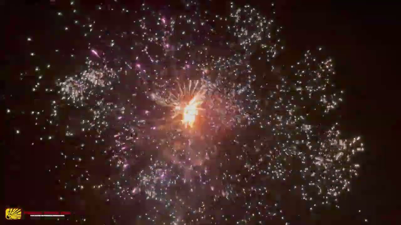 Shred IT (Lesli Vuurwerk) | Oud&Nieuw 2023/2024