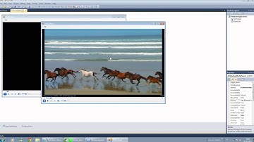 Como fazer um média player basico no visual basic 2010