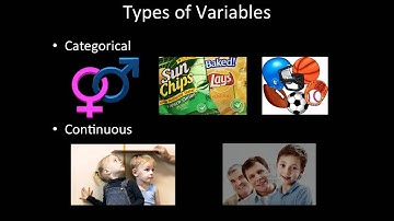 Statistics | 1.2 Types of Variables
