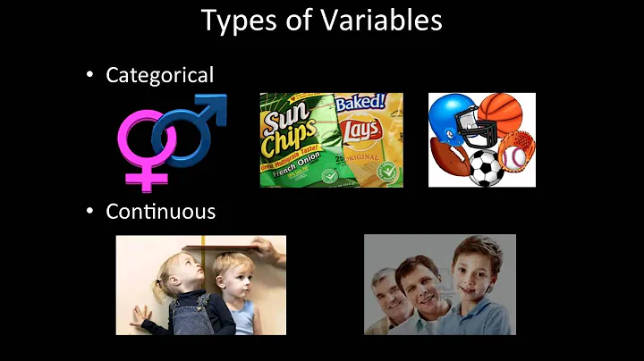 Statistics | 1.2 Types of Variables