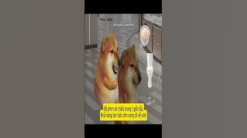 Khi Đi Hẹn Hò Con Gái Và Con Trai Nghĩ Gì? 😂 #shorts #cheems #funny